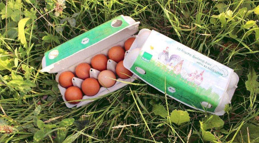 immer frisch: Eier vom Klausenhof